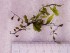copy_630_copy_0_20190416_155241.jpg
