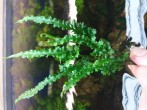 copy_800_20180702_173231.jpg