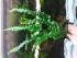 copy_800_20180702_173231.jpg