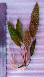 20190523_165233.jpg