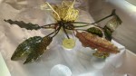 20190525_201031.jpg