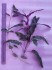 20190526_141850.jpg