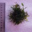 20190526_141924.jpg