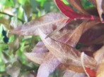 20190530_090945.jpg