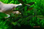 DSC_3571.JPG