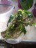 IMG_20190509_092851.jpg