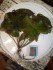 copy_255_IMG_20190505_145856.jpg
