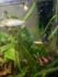 copy_558_IMG_20190509_193521.jpg