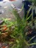 copy_583_IMG_20190509_091501.jpg