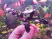 copy_68_20190516_124929.jpg