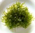 copy_869_P_20190215_160415_1_1_1.jpg