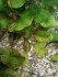 copy_909_IMG_20190501_063320.jpg