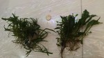 20190601_202341.jpg