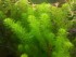 20190609_163602.jpg