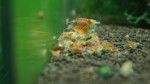 DSC04744.JPG