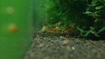 DSC04911.JPG