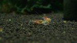 DSC04952.JPG