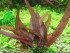 DSCN4611.JPG