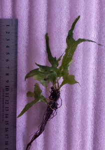copy_135_20190623_163511.jpg
