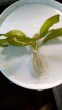 copy_147_copy_320_copy_982_IMG_20170604_163330.jpg