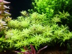 copy_149_IMG_20190406_155342.jpg
