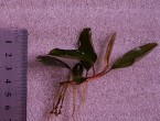 copy_181_20190613_172334.jpg