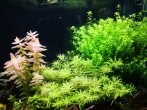 copy_210_IMG_20190406_155333.jpg