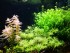 copy_210_IMG_20190406_155333.jpg