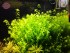 copy_375_IMG_20190406_160205.jpg