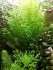 copy_546_IMG_20190601_220330.jpg