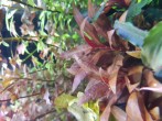 copy_580_20190530_090940.jpg