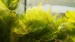 copy_719_copy_507_olx_image_2018-03-01_12-41-28.jpg