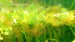 copy_745_P_20190527_231203.jpg