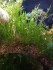 copy_774_IMG_20190505_221655.jpg