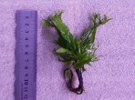 copy_876_20190602_164641.jpg