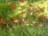 100_4149.JPG