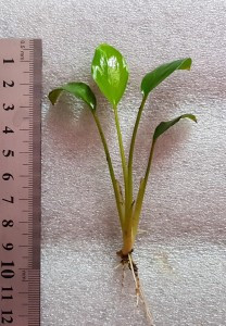20190725_123055.jpg