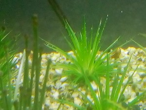 IMG_20190703_211252аук.jpg