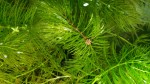 copy_340_copy_245_P_20190507_204453.jpg