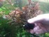 copy_549_20190714_145747.jpg
