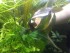 20190602_175900.jpg