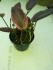 copy_135_copy_281_copy_320_20160401_160344.jpg
