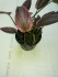 copy_207_copy_966_copy_835_20160401_160410.jpg