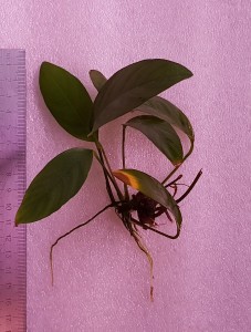 copy_799_20190811_160920.jpg