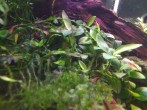copy_88_IMG_20190818_144016.jpg