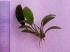 copy_897_20190811_154741.jpg