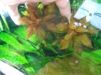 100_3673.JPG