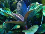 20190929_130729.jpg