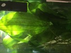 29050833-8B0B-4EFB-AE5F-968E561792D2.jpeg