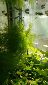 P_20190906_130328_p.jpg